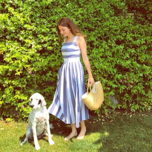 COS Cotton Fit and Flare Midi Dress Sleeveless Blue White Striped Size 10 - Picture 1 of 11